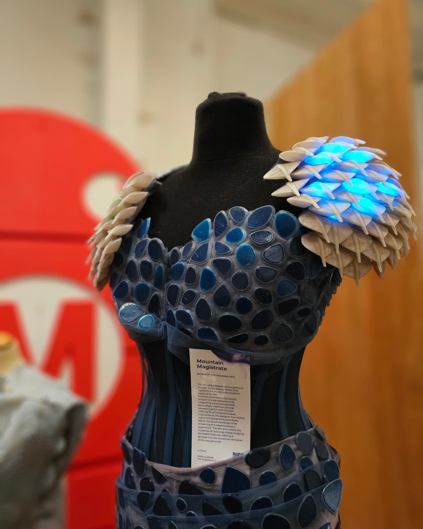 makerfaire111