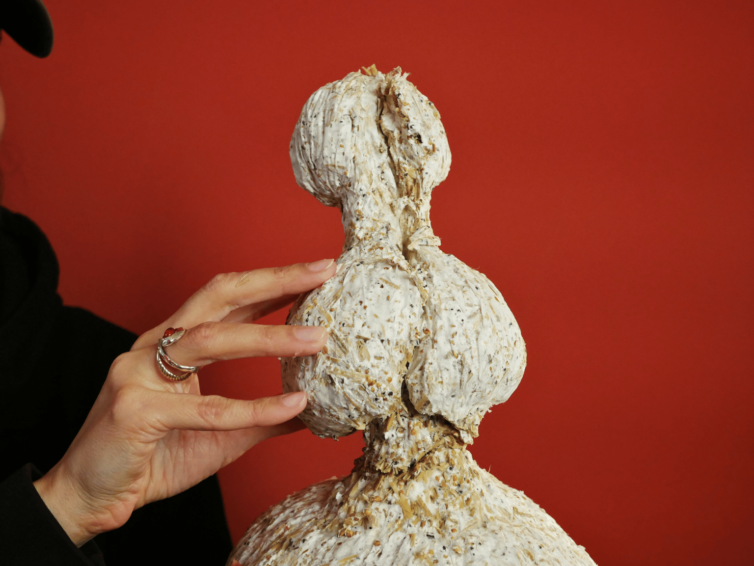 mycelium