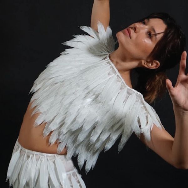 Beyond feathers